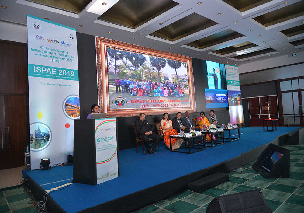 Conference LED Screen with Flex Side Panel Setup