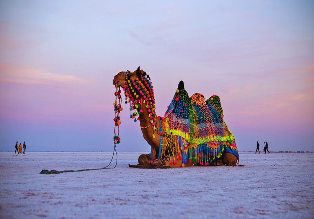 Rann Utsav Theme